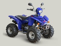 Квадроцикл PATRON ATV “Scaner-250″
